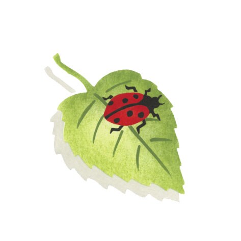 Ladybug on Leaf Wall Stencil | 2781 by Designer Stencils | Animal & Nature Stencils | Reusable Art Craft Stencils for Painting on Walls, Canvas, Wood | Reusable Plastic Paint Stencil for Home Makeover | Easy to Use & Clean Art Stencil