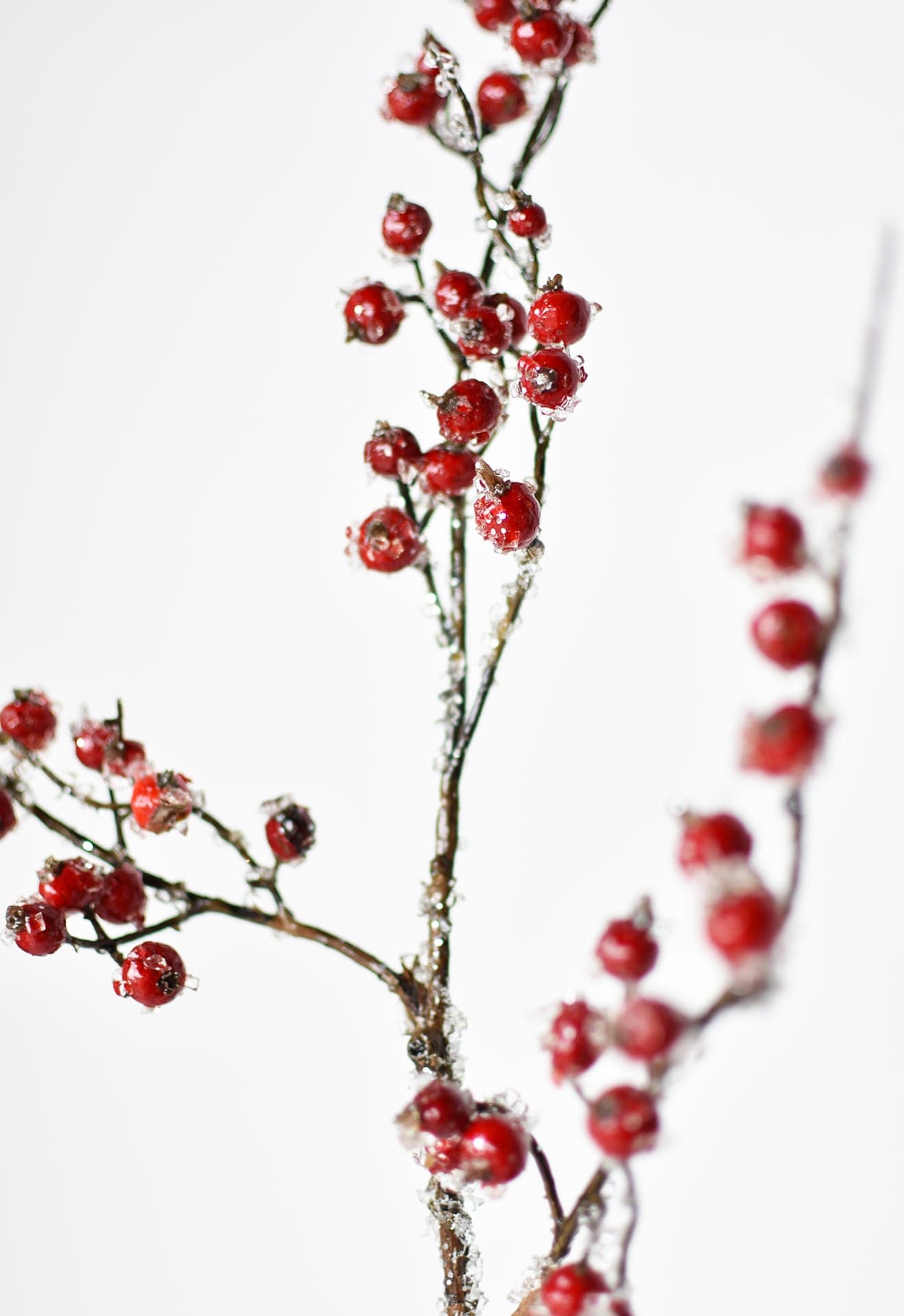 29 Faux Iced Red Berry Stem