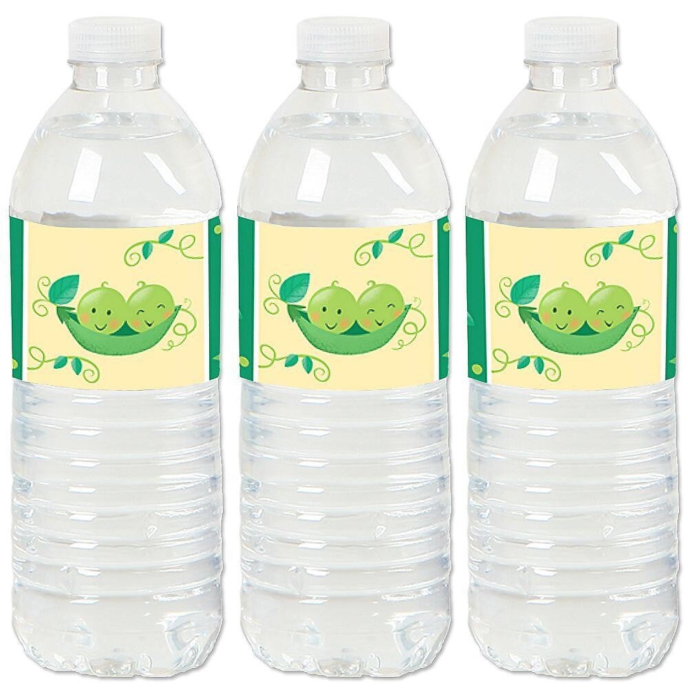 Big Dot of Happiness Double the Fun - Twins Two Peas in a Pod - Baby Shower or First Birthday Party Water Bottle Sticker Labels - Set of 20