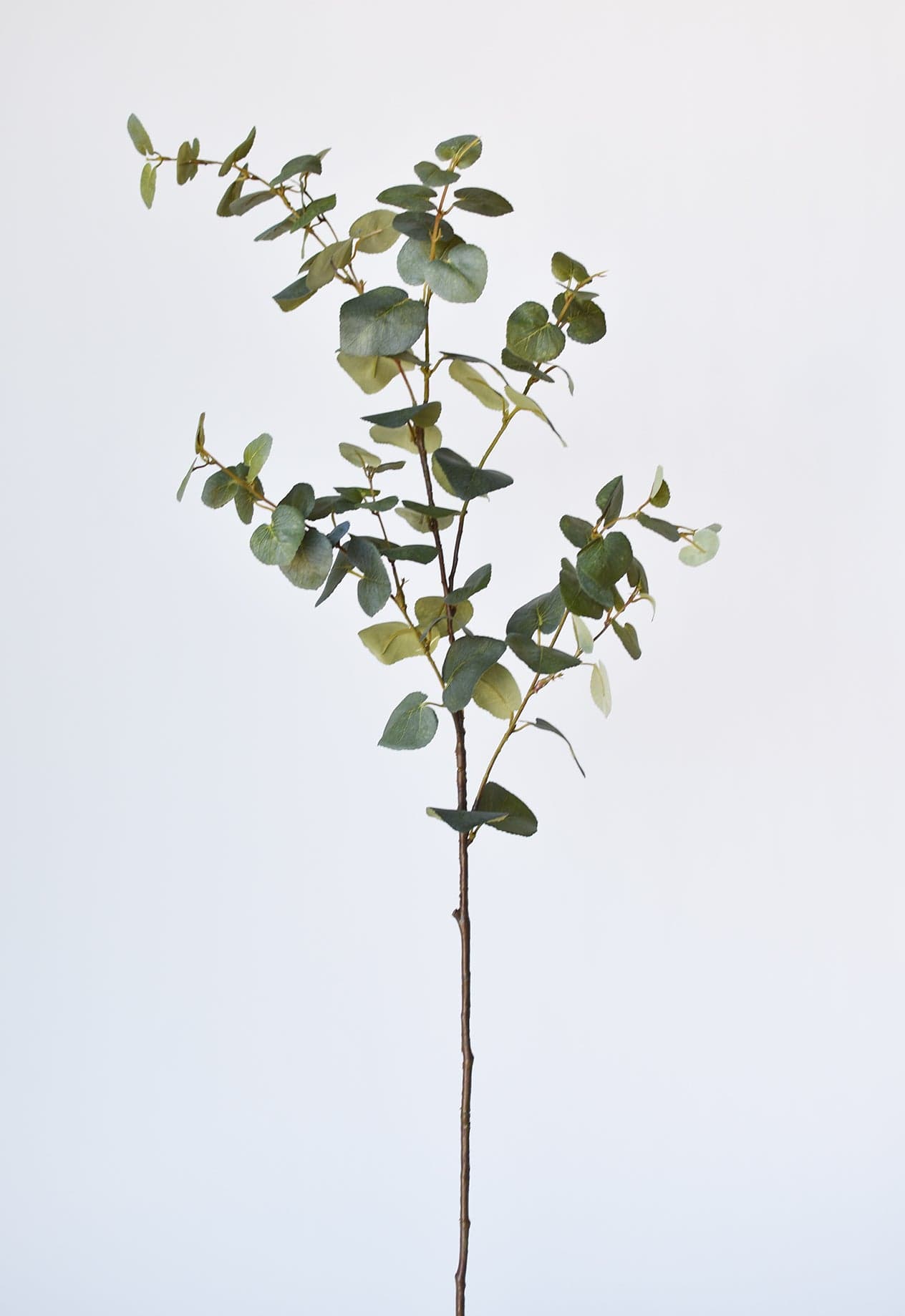 40&#x22; Faux Eucalyptus Stem