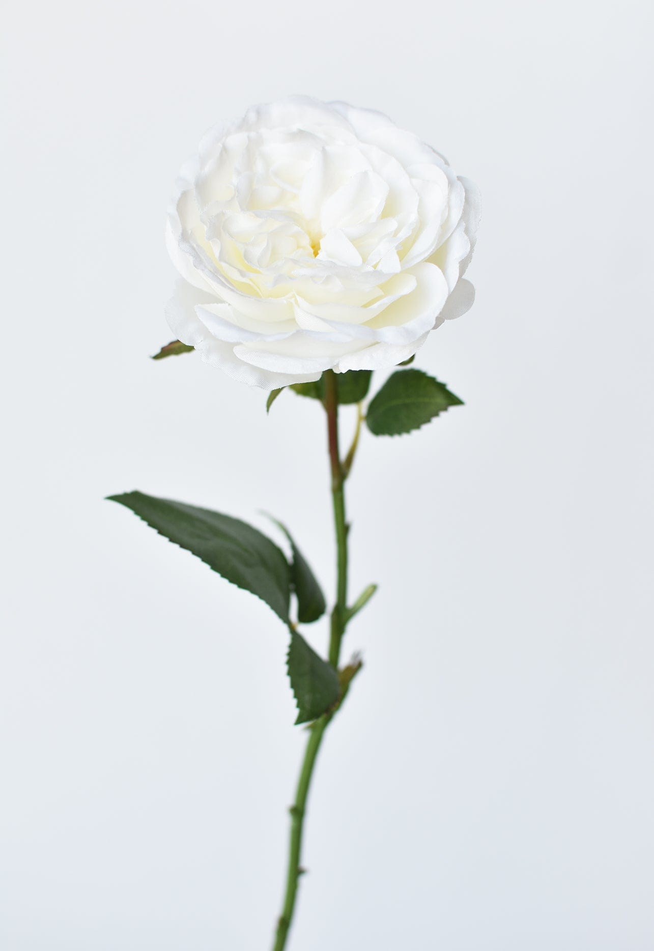 20.5&#x22; Faux Single Rose Stem White