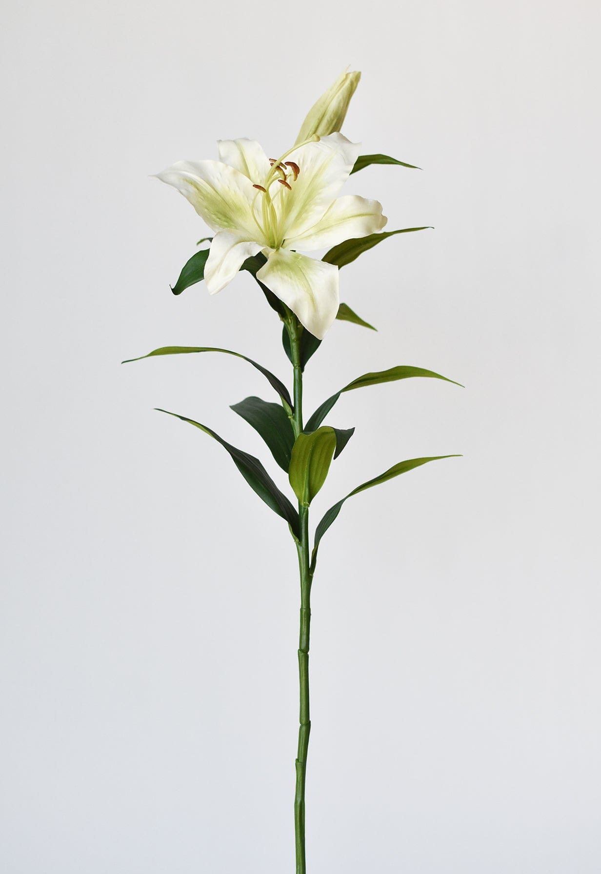35&#x22; Faux Green and White Lily Stem