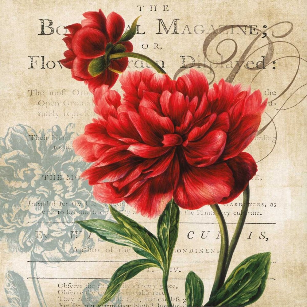 The Botanical Poster Print by Carol Robinson - Item # VARPDX14515