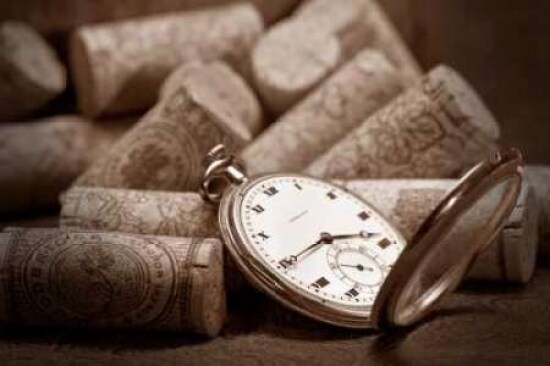 Wine Corks Still Life V Poster Print by C. Thomas McNemar - Item # VARPDXPSMNR139