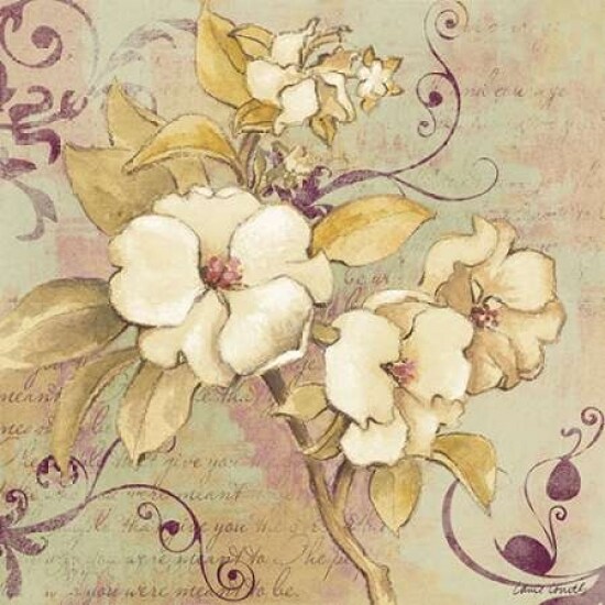Sweet Fragrance I Poster Print by Lanie Loreth - Item # VARPDX6765A