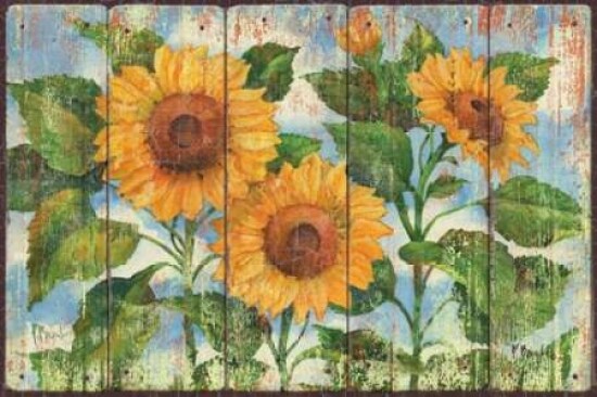 Summer Sunflowers Poster Print by Paul Brent - Item # VARPDXBNT848