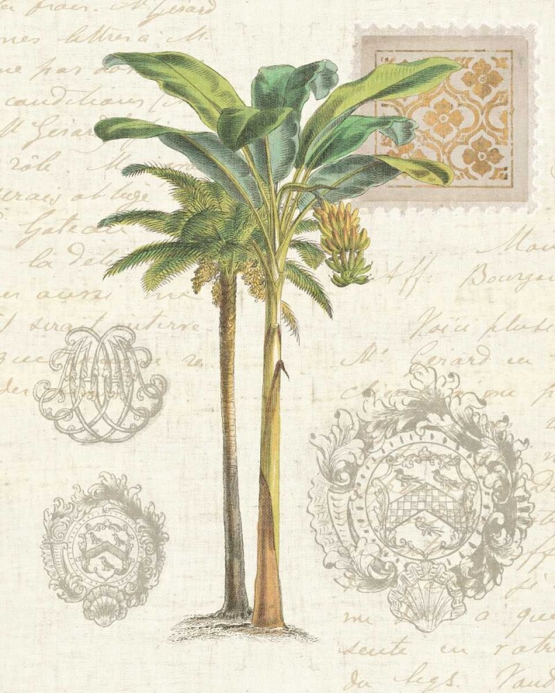 Vintage Palm Study I Poster Print by Wild Apple Portfolio - Item # VARPDX15617