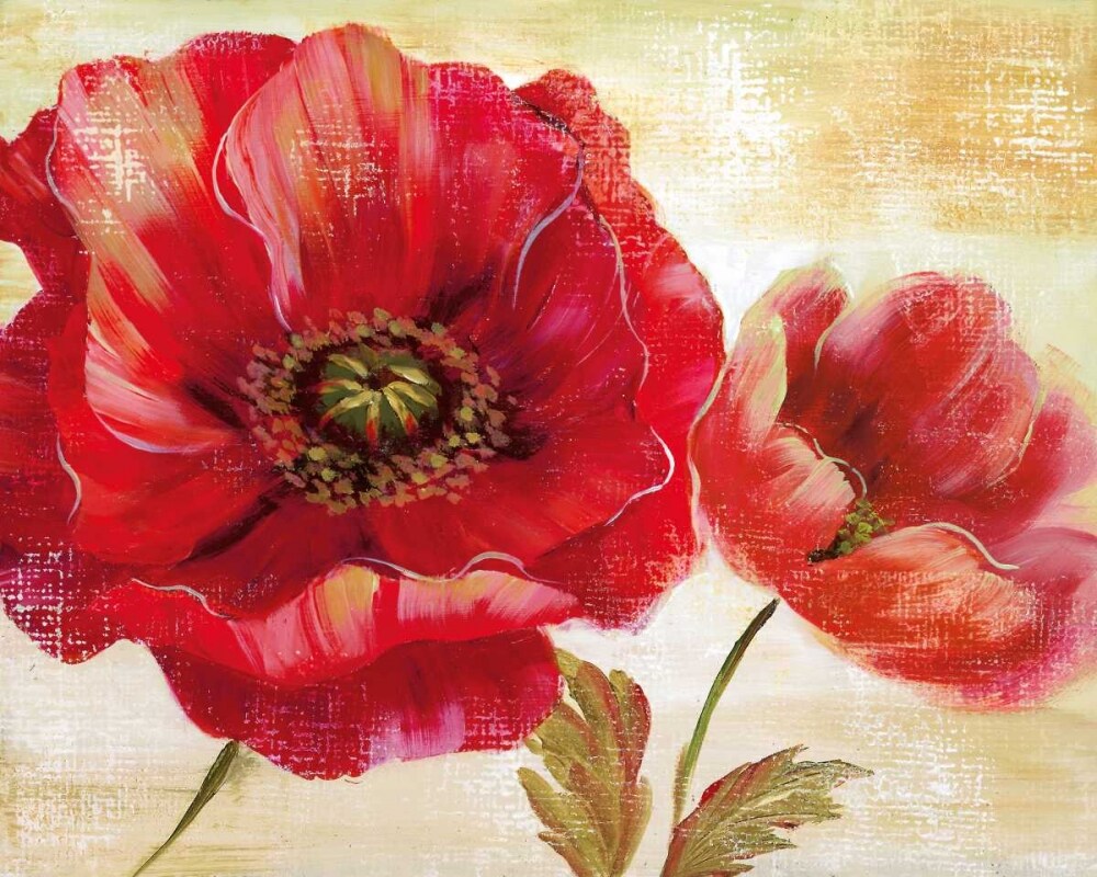 Passion For Poppies I Poster Print by Nan - Item # VARPDX14556