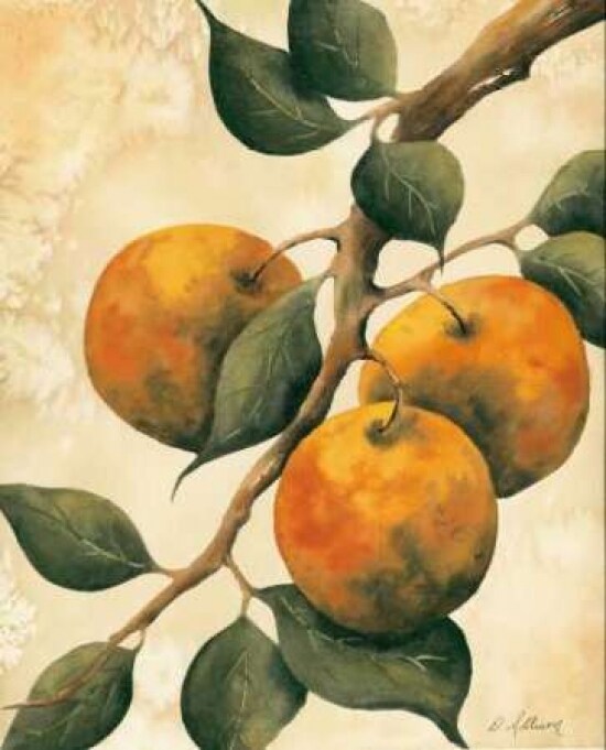 Italian Harvest - Oranges Poster Print by Doris Allison - Item # VARPDX5272