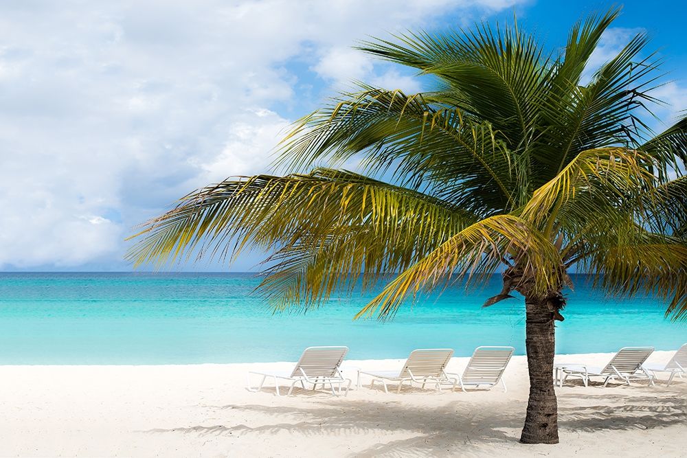 Relaxing Beach and Horizon Poster Print by Bill Carson Photography - Item # VARPDX12086CC