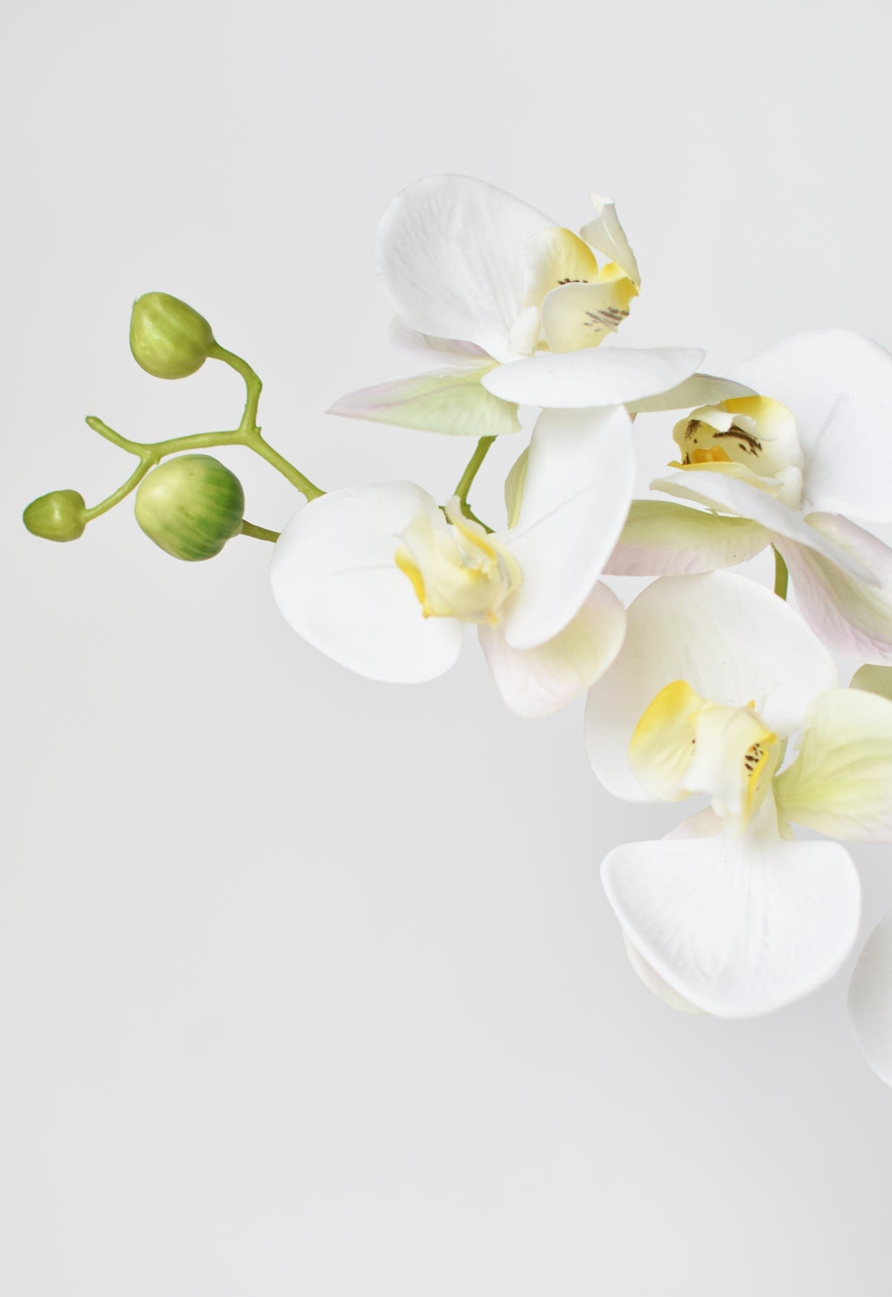 30&#x22; Faux White Orchid Stem
