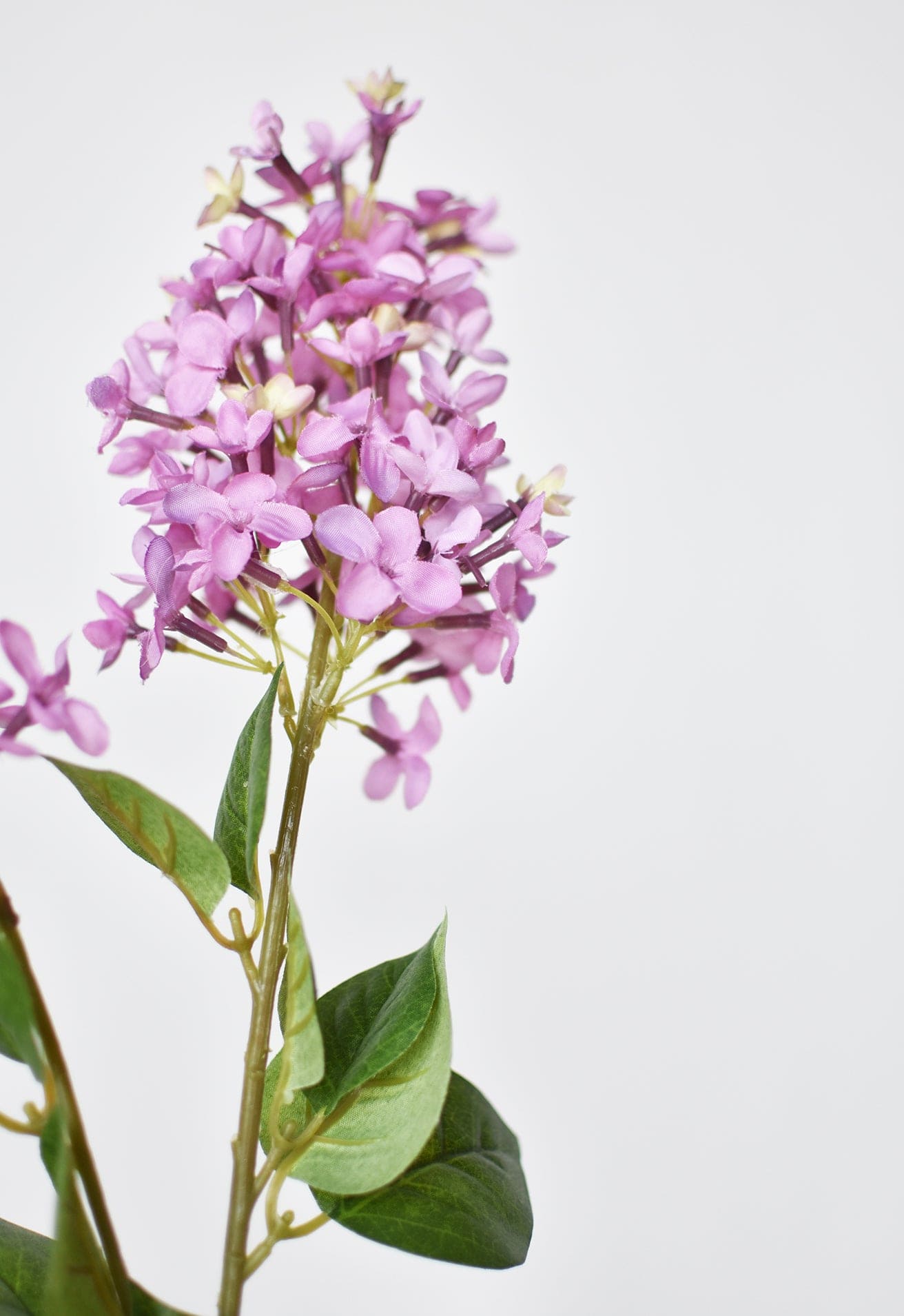 28.5&#x22; Faux Light Purple English Lilac Stem
