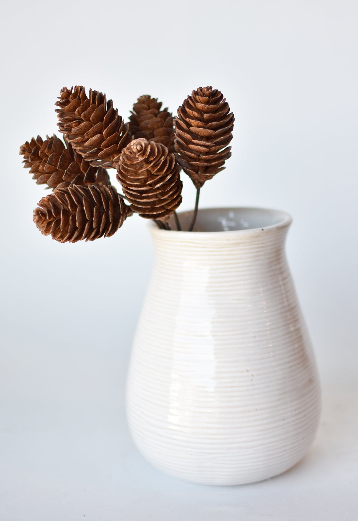 10&#x22; Faux Pinecone Stem Bundle