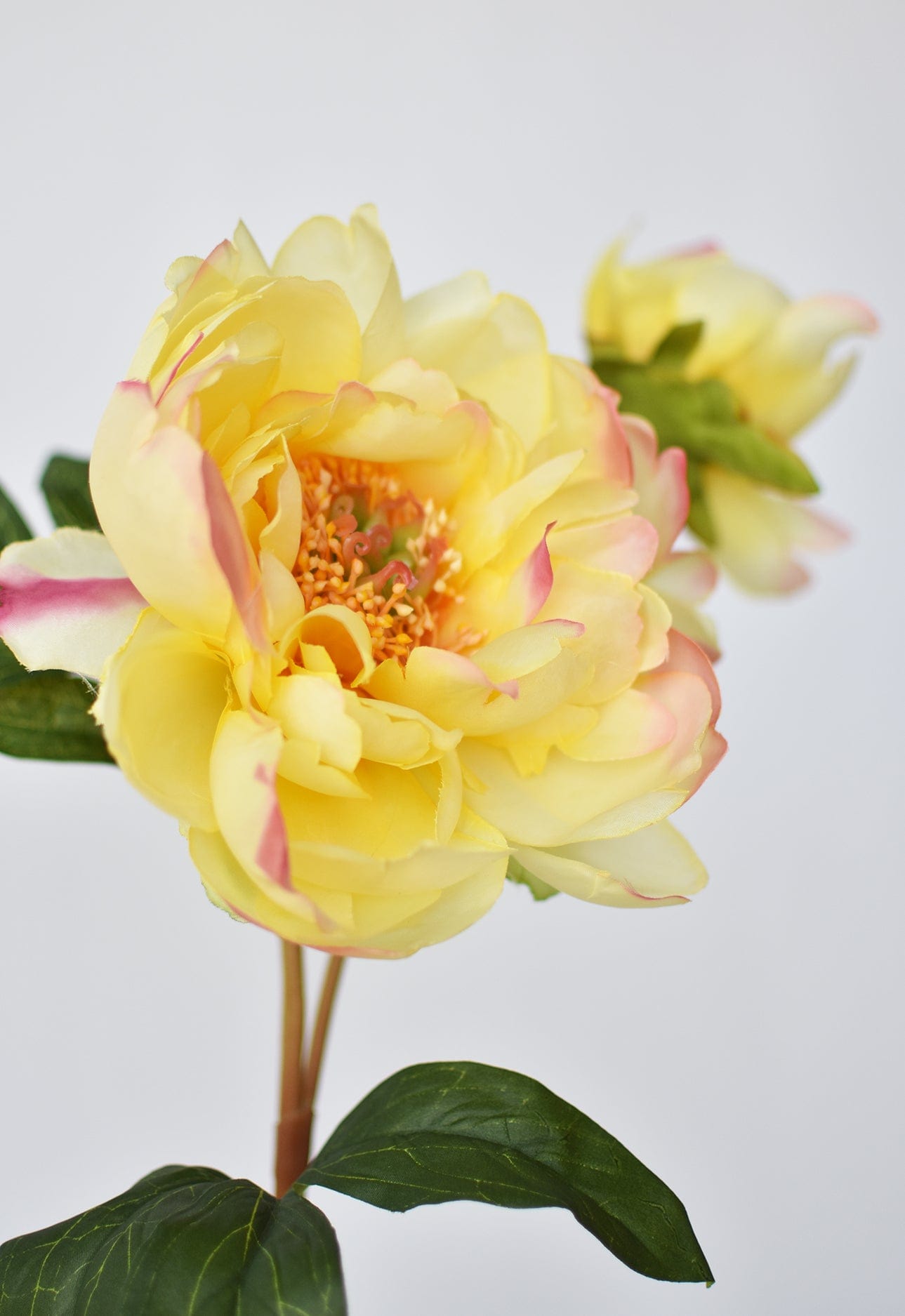 22.5&#x22; Faux Peony Stem w/Bud Yellow