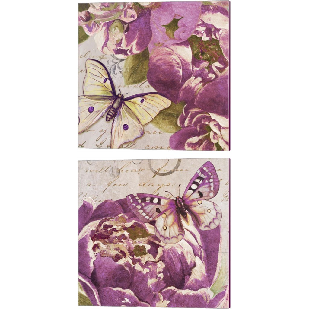 Beautiful Peonies in Paris by Patricia Pinto 14&#x22; x 14&#x22; Canvas Wall Art (Set of 2)