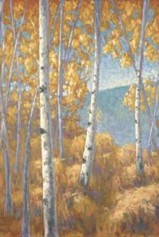 Aspen Forest I Poster Print by John Macnab - Item # VARPDXMNB016