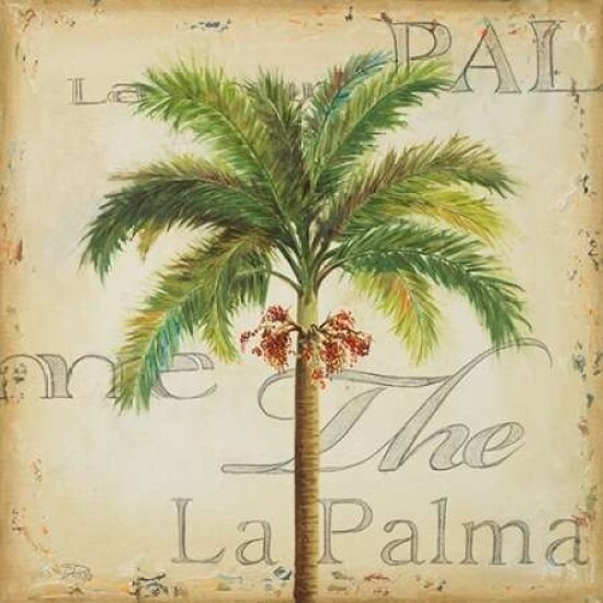 La Palma II Poster Print by Patricia Pinto - Item # VARPDX7433
