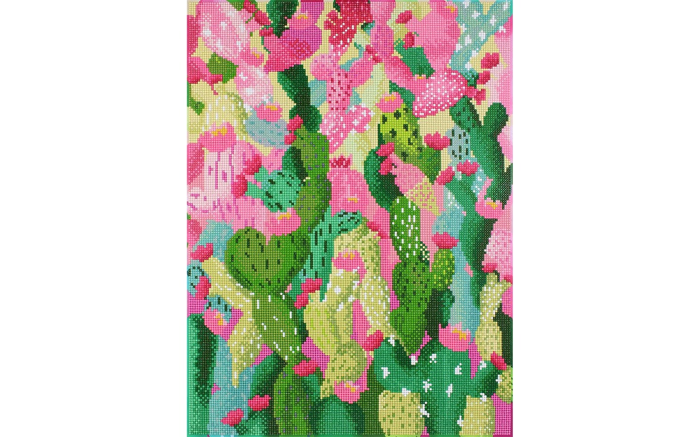 Diamond Painting Kit Intermed Cactus Scenery