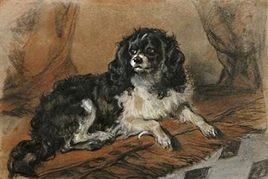 A King Charles Spaniel Poster Print by  Sir Edwin Landseer - Item # VARPDX266720