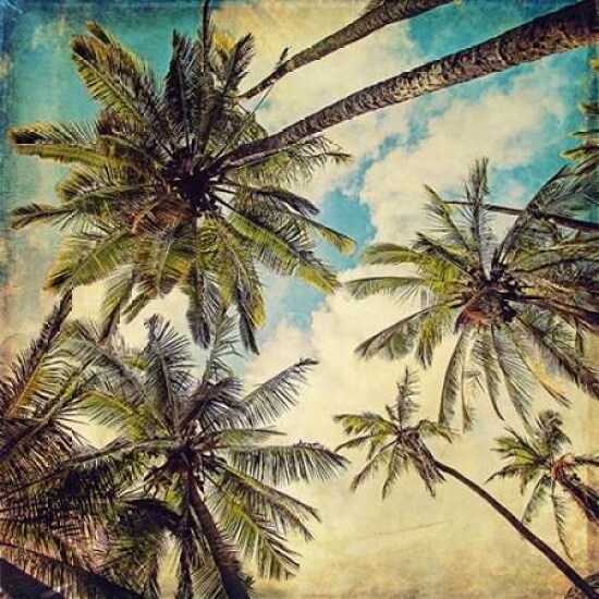 Kauai Island Palms Poster Print by Melanie Alexandra Price - Item # VARPDXP992D