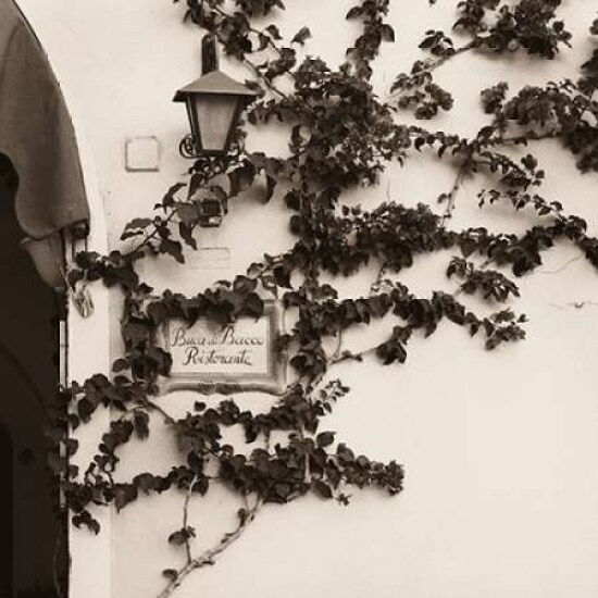 Buca di Bacco Ristorante Poster Print by Alan Blaustein - Item # VARPDXB1339D