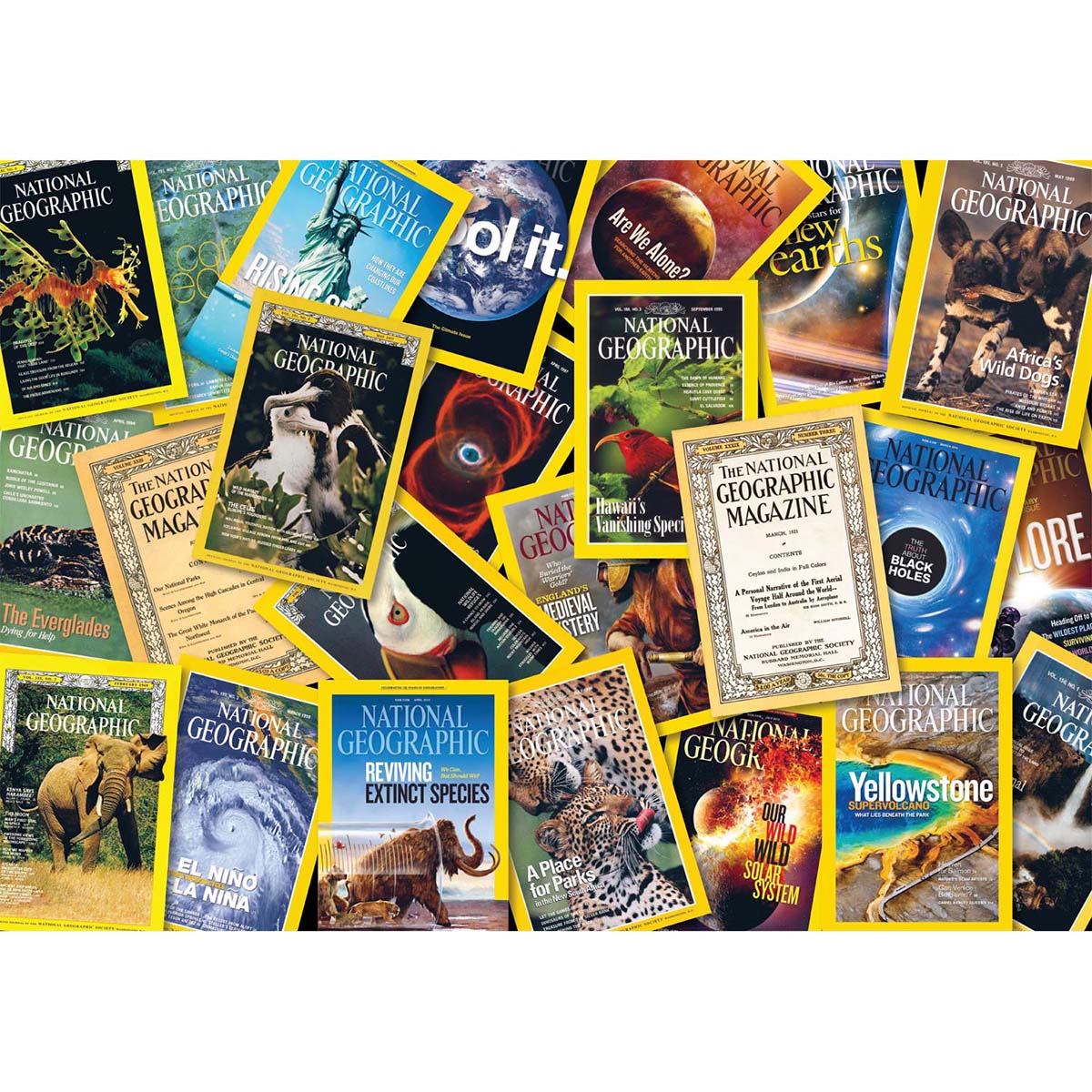 Buffalo Games National Geographic Magazines Jigsaw Puzzle