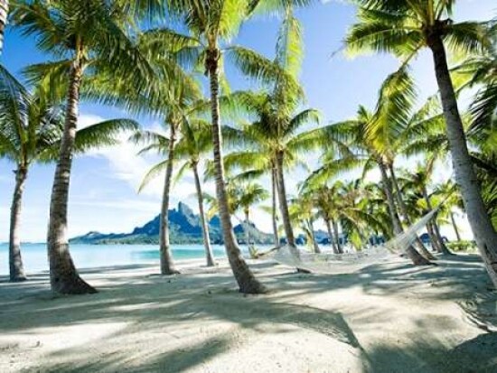 Hammock at Bora Bora Tahiti Poster Print by  Anonymous - Item # VARPDX3AP979