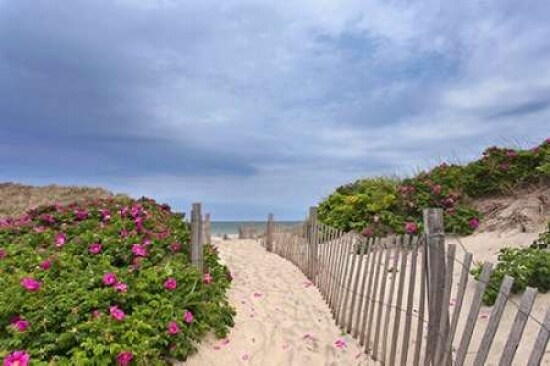 Rose Path Poster Print by Katherine Gendreau - Item # VARPDXG759D