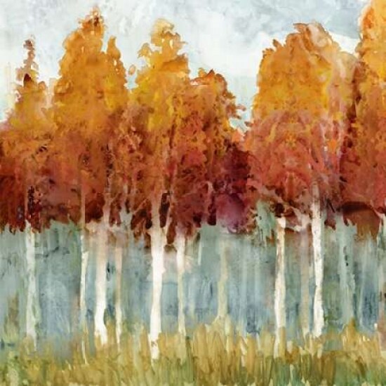 Birch II Poster Print by Edward Selkirk
