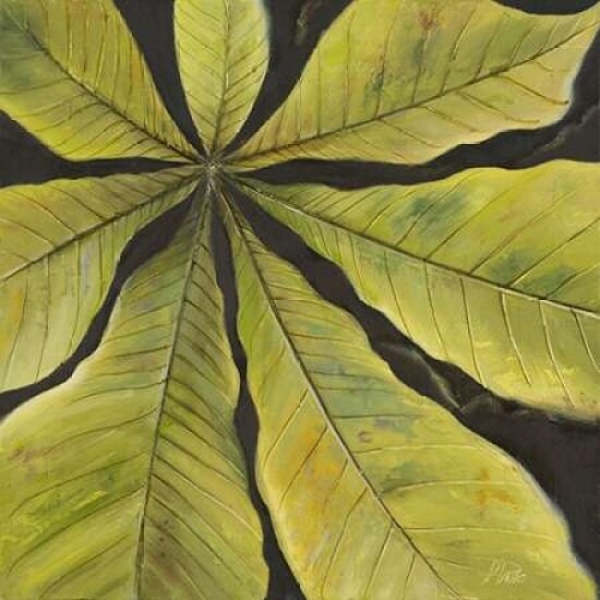 Evergreen II Poster Print by Patricia Pinto - Item # VARPDX7832