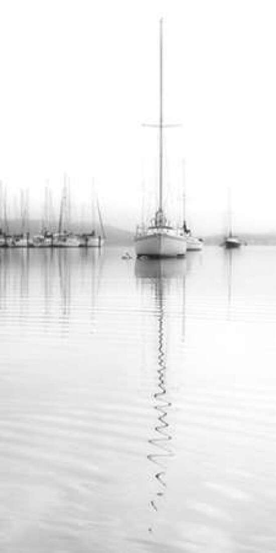 Nautical No. 5 Poster Print by Nicholas Bell - Item # VARPDXB3117D