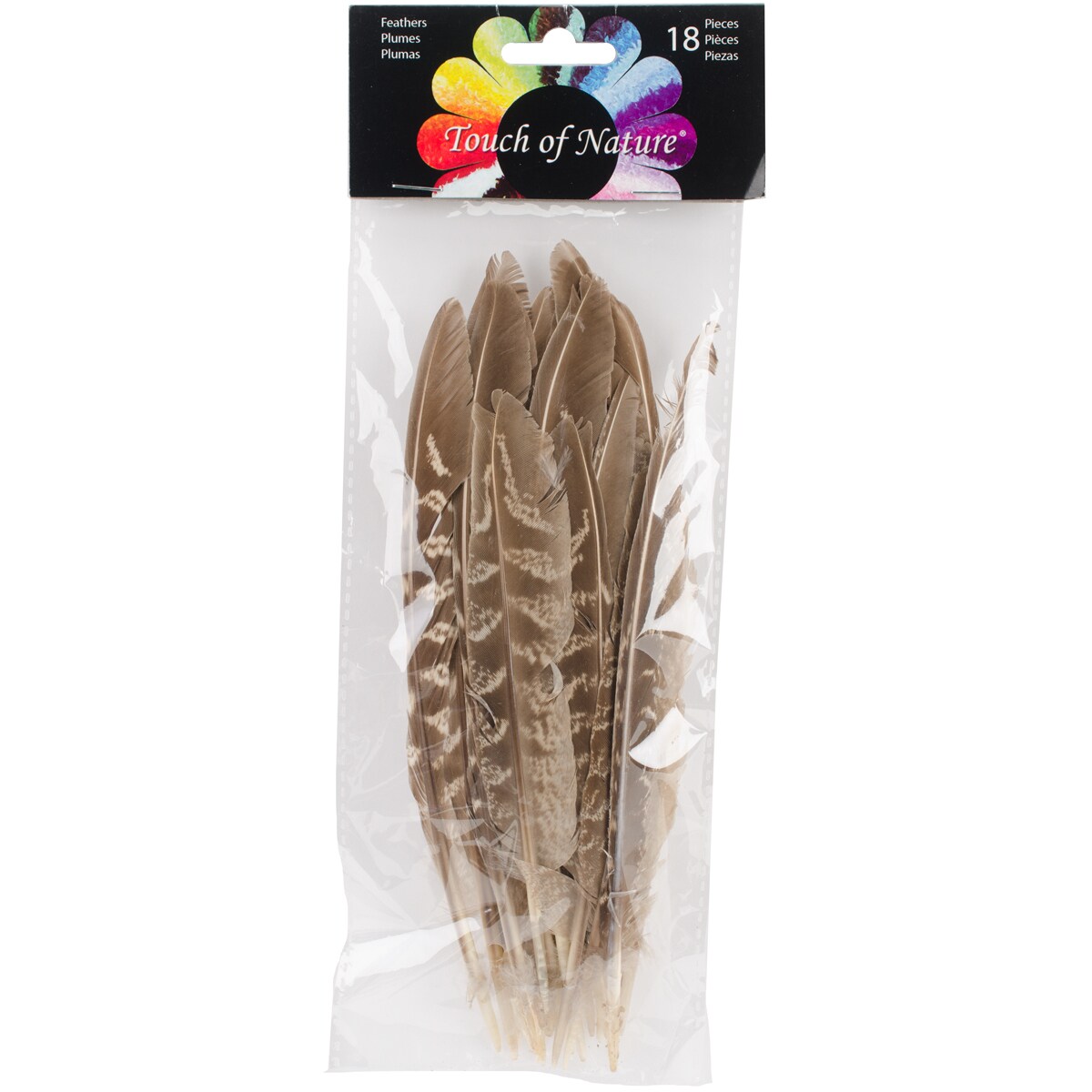 Touch Of Nature Pheasant Quill Feathers 18/Pkg-Natural