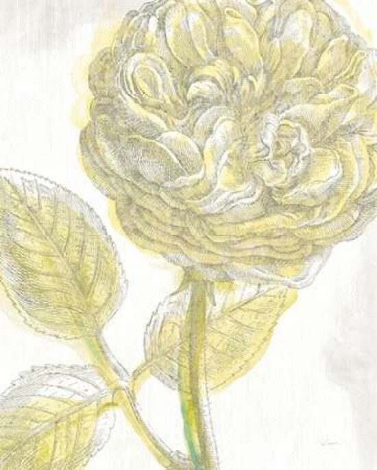 Belle Fleur Yellow III Crop Poster Print by Sue Schlabach - Item # VARPDX18648