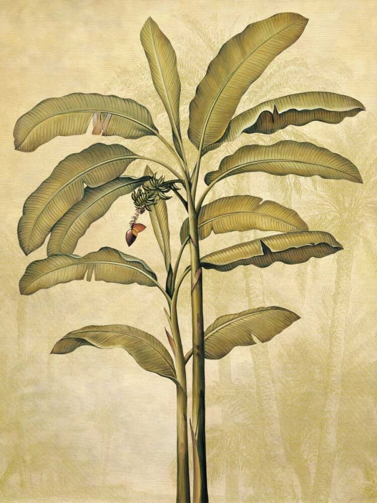 Palms of the Tropics II Poster Print by Jill Deveraux # ILD1458