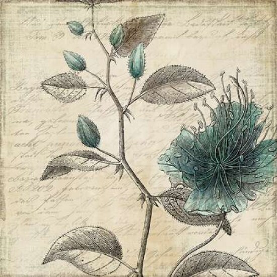 Blue Bird II Poster Print by PI Studio