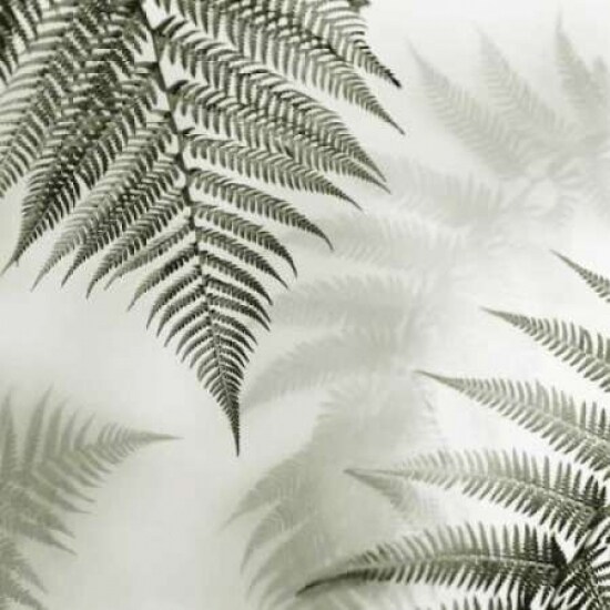 Ferns No. 1 Poster Print by Alan Blaustein - Item # VARPDXB1420D