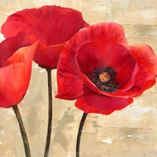 Red Poppies Poster Print by Cynthia Ann - Item # VARPDX1AN1220