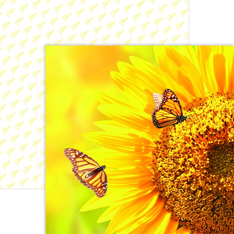 Nature&#x27;s Angels Paper - Sisters - Reminisce