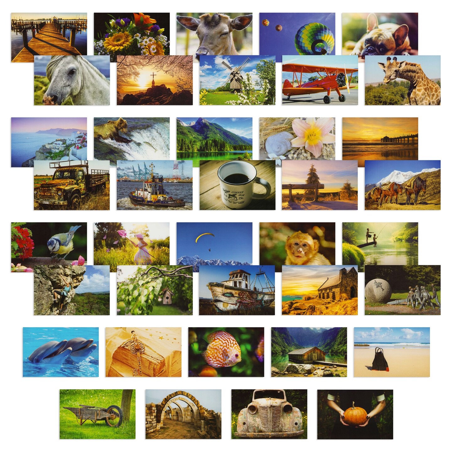 40 Pack Bulk Animal and Travel Postcards From Around the World for