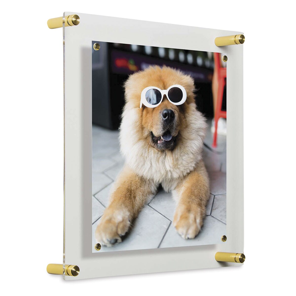 Wexel Art Single Panel Acrylic Display Frame 14 X 14 Gold Hardware