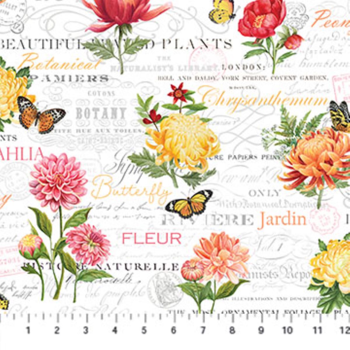 Morning Blossom Blossoms Script White Cotton Fabric by Northcott BTY