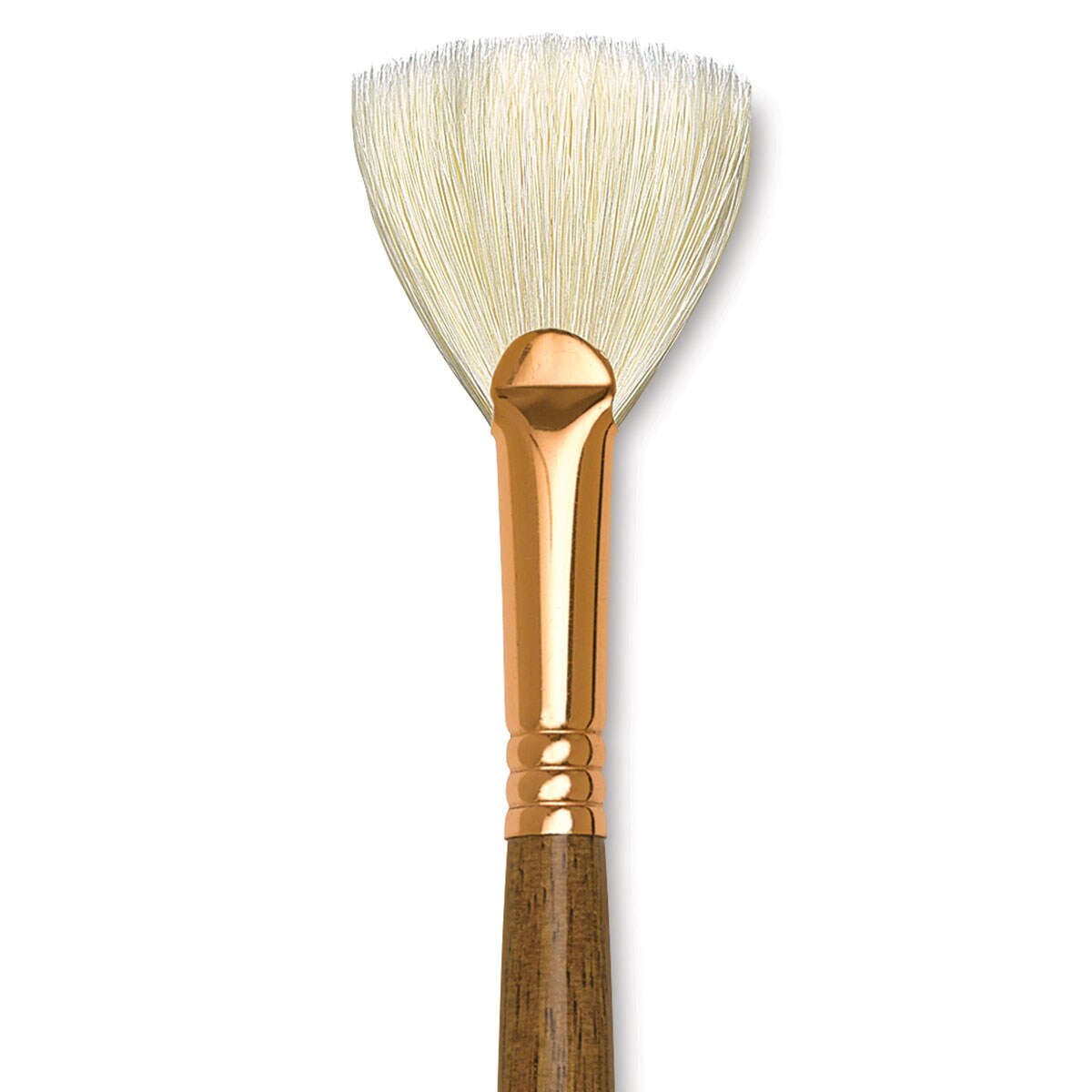 Princeton Best Natural Bristle Brush Fan, Long Handle, Size 6 Michaels