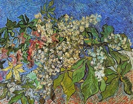 Blossoming Chestnut Branches Poster Print by  Vincent Van Gogh - Item # VARPDX374612