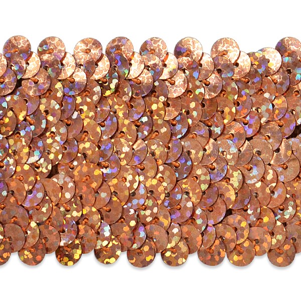 5 Row 1 3/4" Starlight Hologram Stretch Sequin Trim