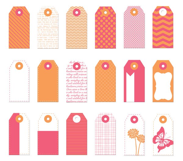 Prima Marketing Inc Mini Tag/Paper Orange-Pink - 655350921880