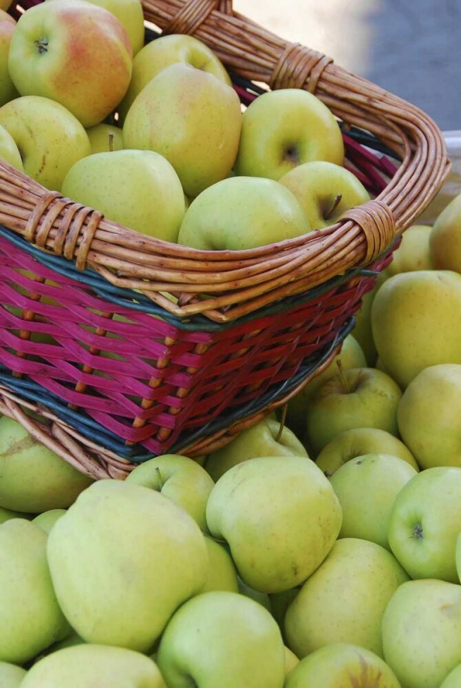 OR, Hood River Valley Basket of green apples by Steve Terrill - Item # VARPDXUS38BJY0007