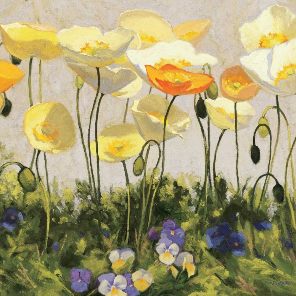 Poppies and Pansies II Poster Print by Shirley Novak - Item # VARPDX11382