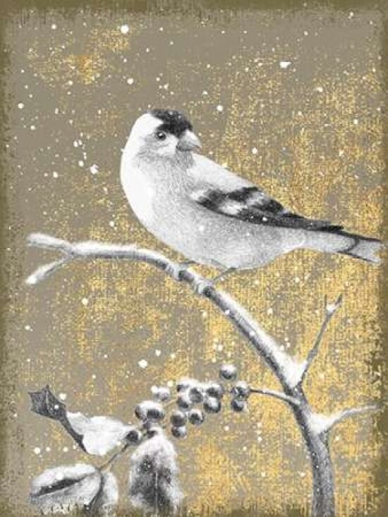 Winter Birds Goldfinch Neutral Poster Print by Beth Grove - Item # VARPDX21949