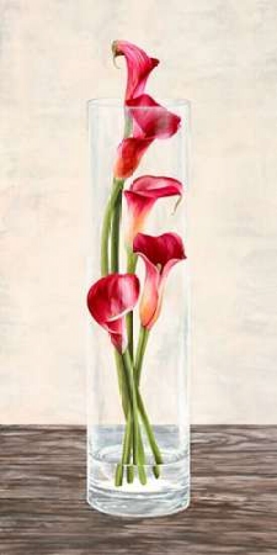 Arrangement of callas Poster Print by Shin Mills - Item # VARPDX2MI2857