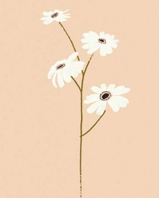 Serene Florals II Poster Print by Design Show - Item # VARPDX49199